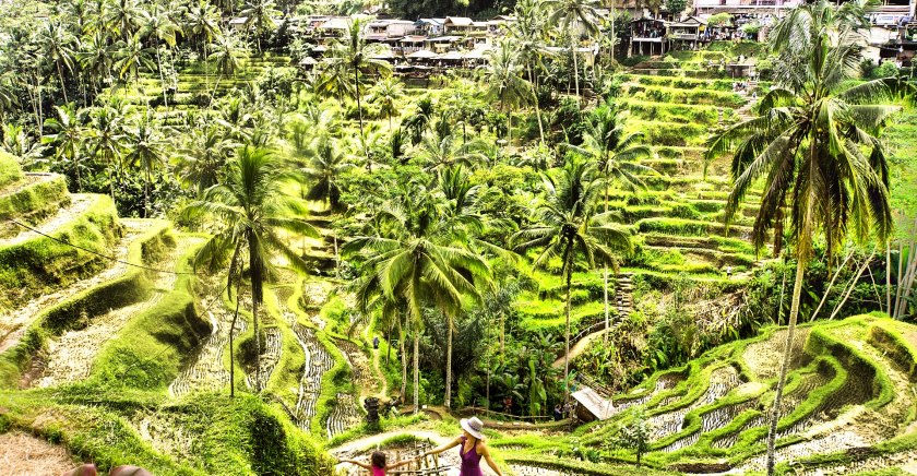 Cennet Ada Bali